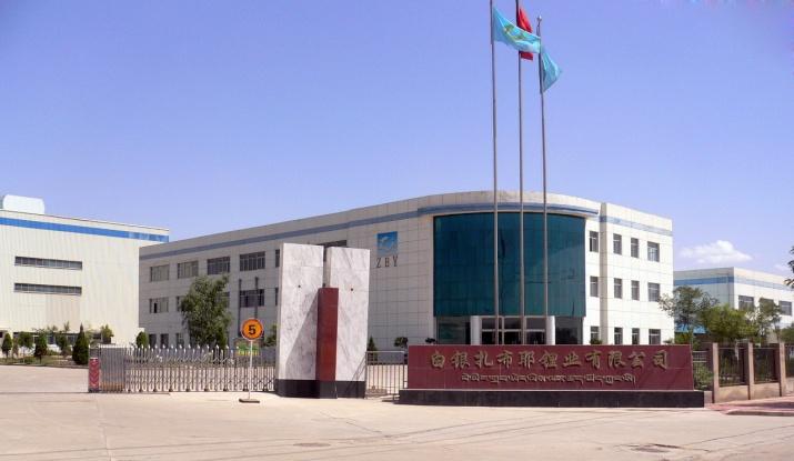 W020241121375676467411