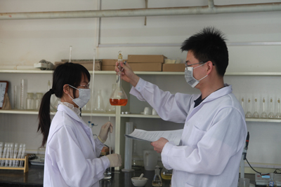 W020241121371146025685