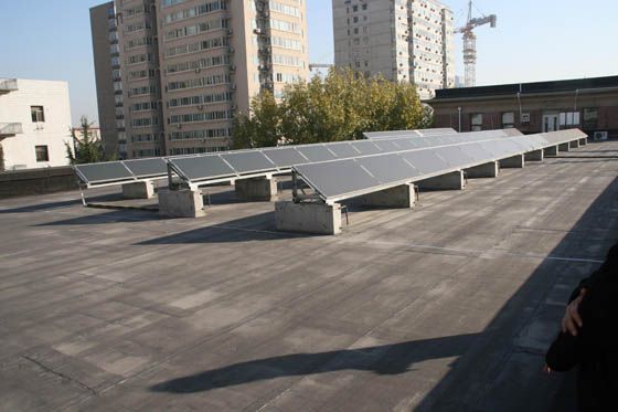 W020241119526078824430